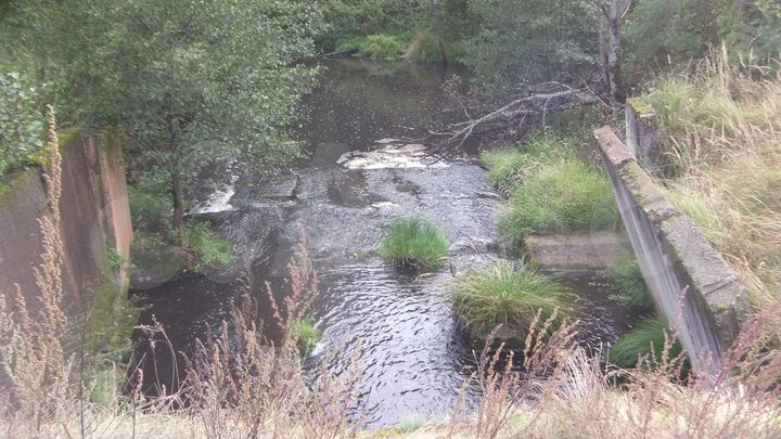 Участок 55 сот. (ИЖС)