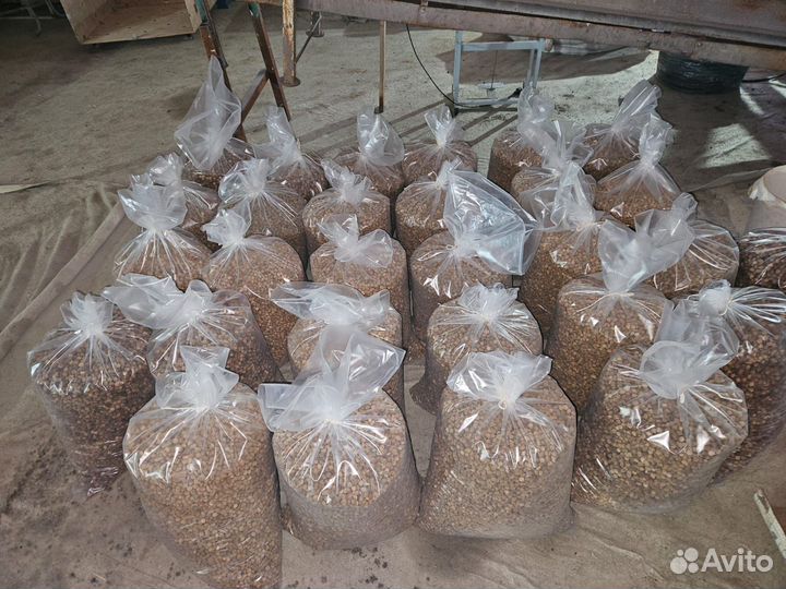 Корм для собак