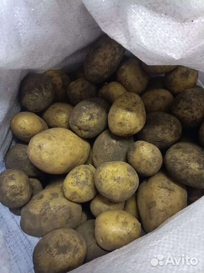 Картофель деревенский отборный