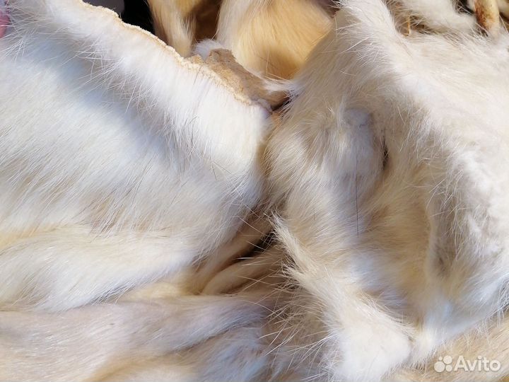 Шкурки нутрий на поделки