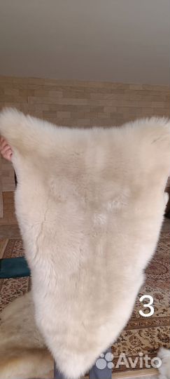 Выделанные овечьи шкуры