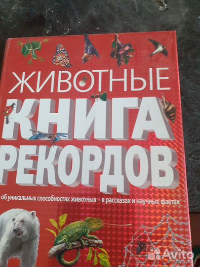 Животные.Книга рекордов