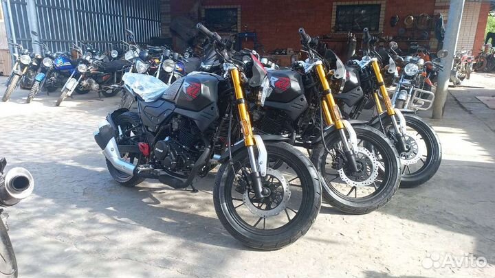 Cobra 250 новые