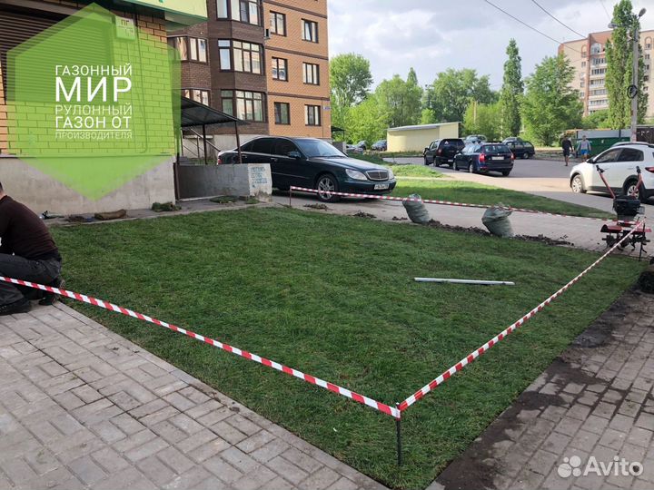 Рулонный газон