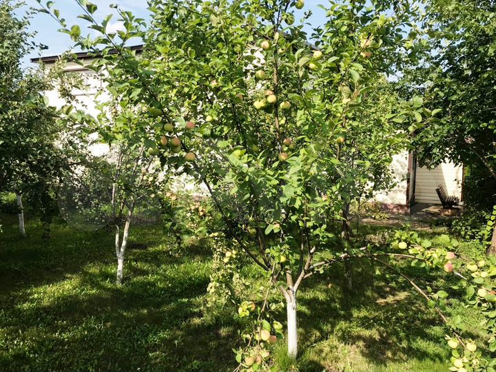 Дом 112 м² на участке 20 сот.