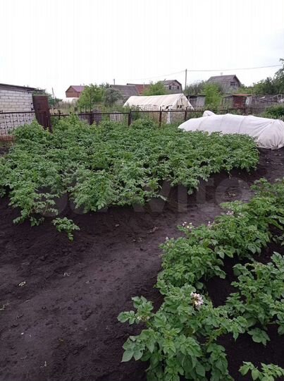 Дача 10 м² на участке 6 сот.