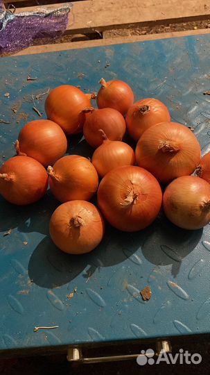 Доставка овощей и фруктов