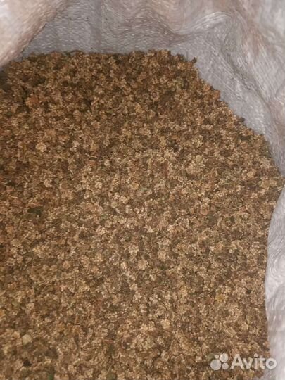 Семена кормовой свеклы