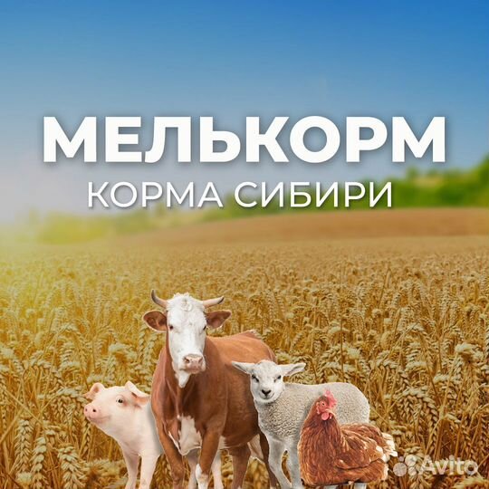 Комбикорм полнорационный гранулированный