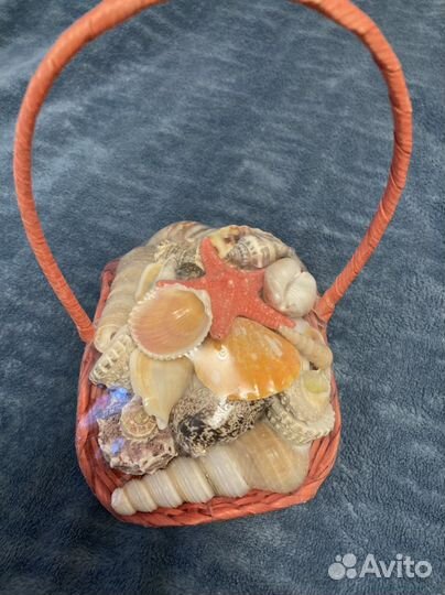 Набор ракушек