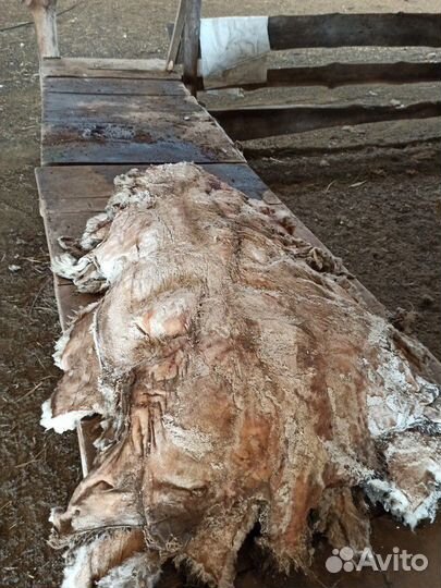 Шерсть мериноса