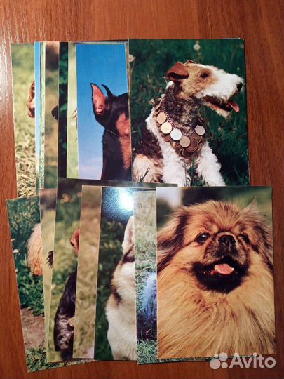 Набор открыток СССР