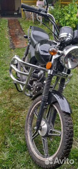 Альфа Рейсер