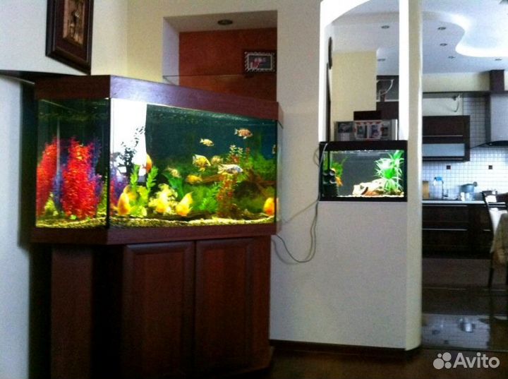 Угловой аквариум на 500 литров с тумбой
