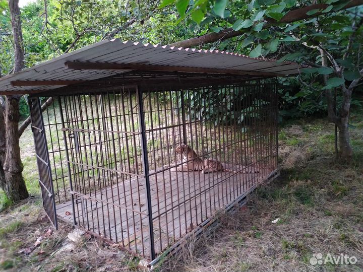 Вольер для собак уличный