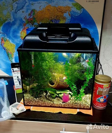 Аквариум 35 л с рыбками и креветками