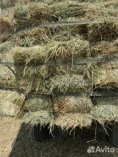 Сено луговое в тюках