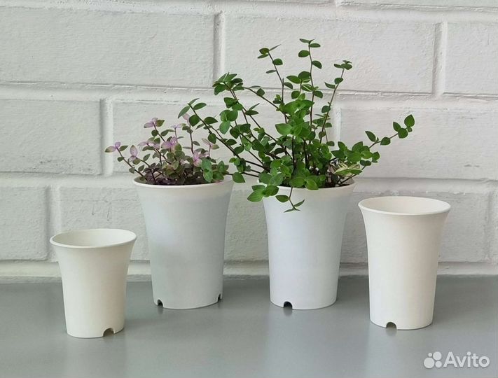 Круглые горшки для суккулентов, хавортий, 4 вида