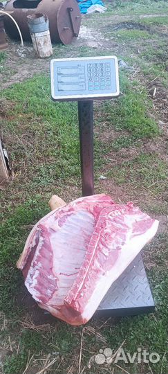 Мясо свинина домашняя