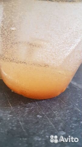 Артемия цисты(сухие яйца) -20 грамм