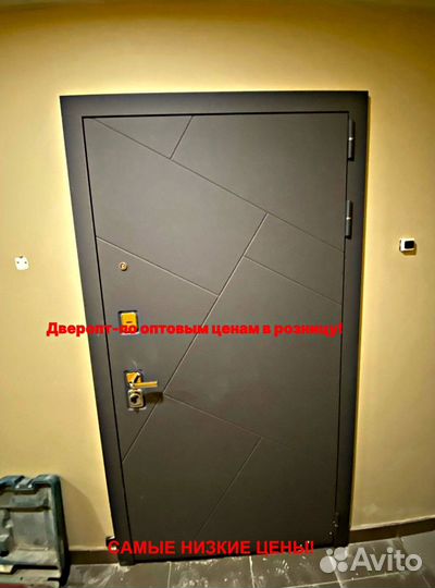 Толстая дверь входная с зеркалом с бесплатной уста