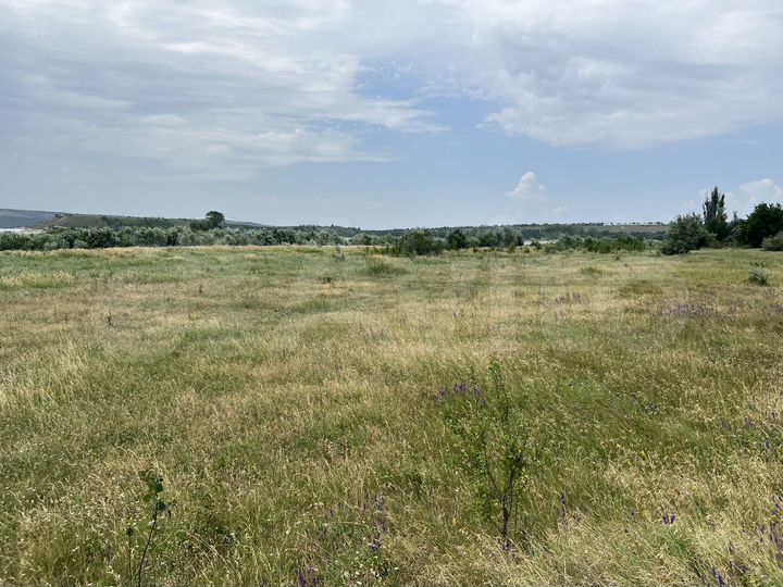 Участок 49,6 сот. (СНТ, ДНП)