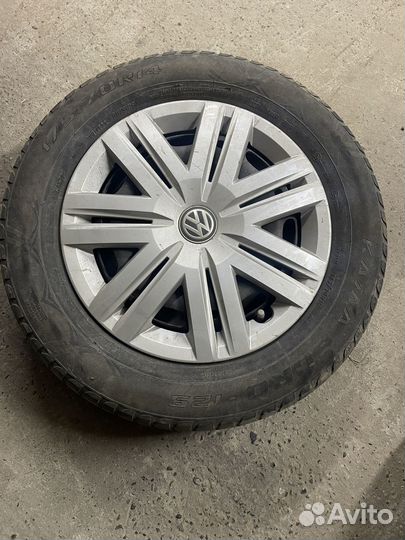 Колоса на Polo