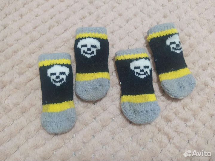 Дождевик для собачки и носочки