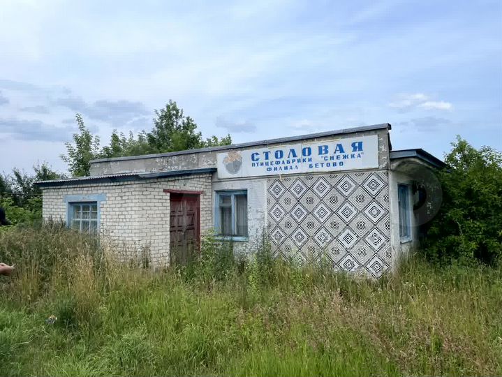 Общепит, 245.9 м²