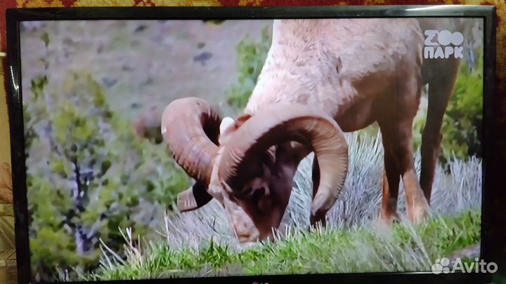 Телевизор LG 32 дюйма