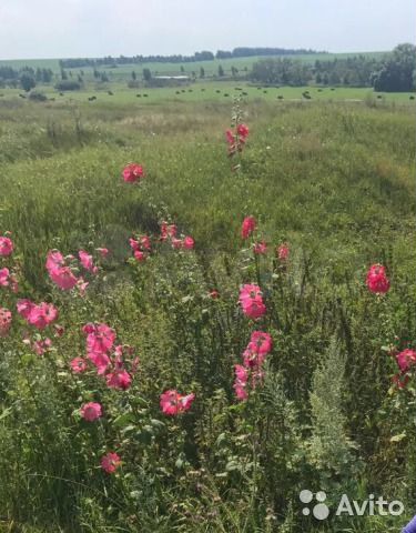 Дом 34,2 м² на участке 43 сот.