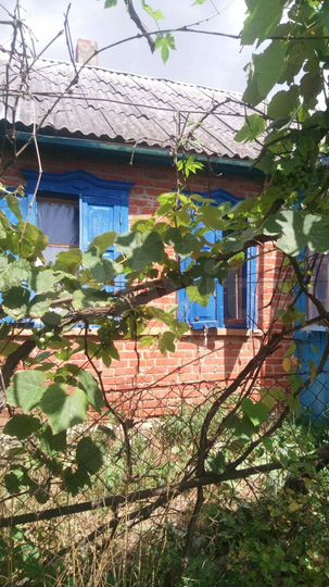 Дом 52,2 м² на участке 43 сот.