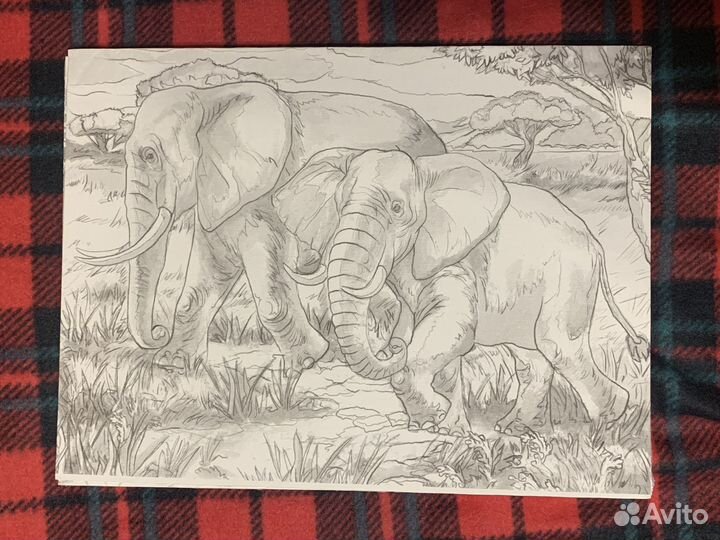 Холст для раскрашивания
