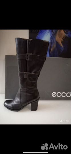 Сапоги ecco