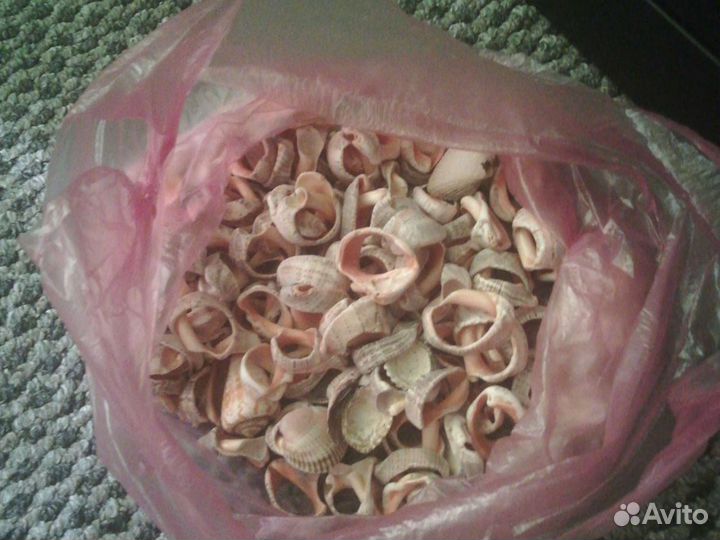 Ракушки и камушки для аквариума