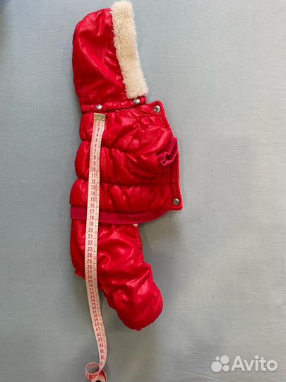 Одежда для маленьких собак