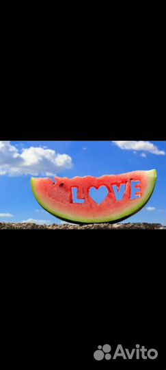 Арбуз с поля оптом