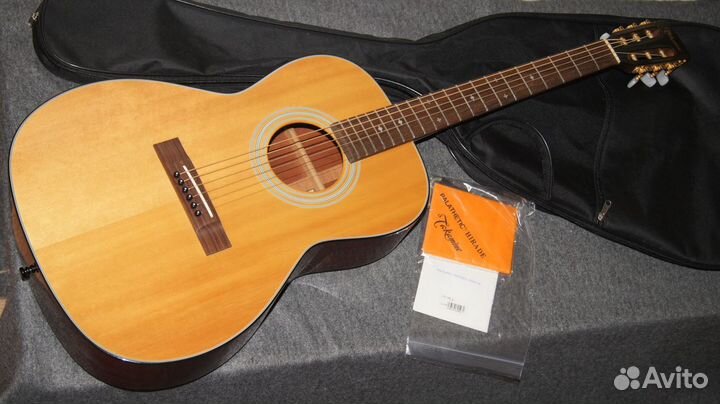 Takamine TSN-500, Japan. Массив. Видео