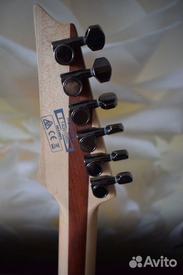 Электрогитара Ibanez Iron Label rgir20FE EMG