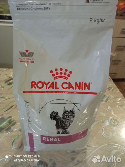 Сухой корм для кошек royal canin