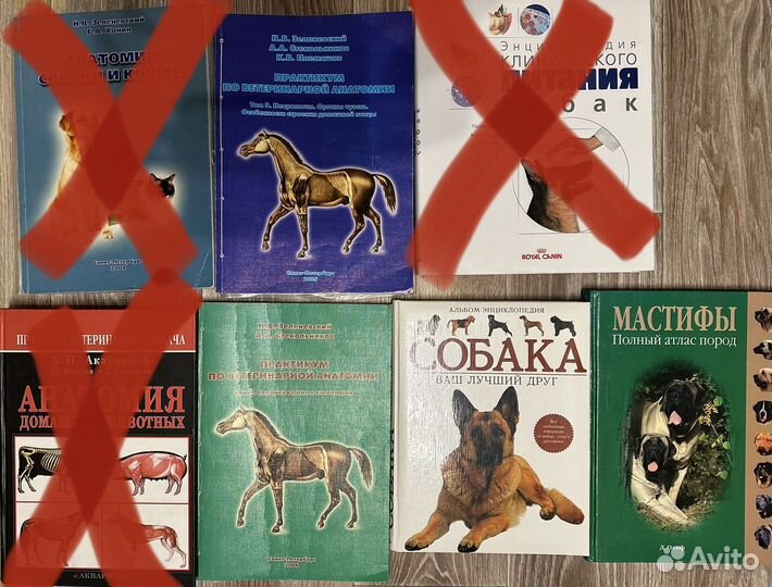 Ветеринарная медицина