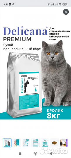 Корм для кошек