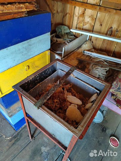 Продажа пчел и ульи