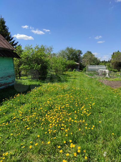 Участок 6 сот. (СНТ, ДНП)