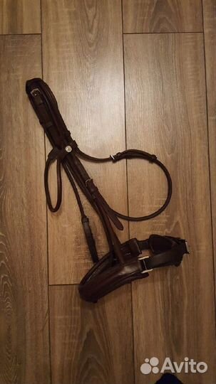 Недоуздок, вальтрап, ногавки, седло для лошади