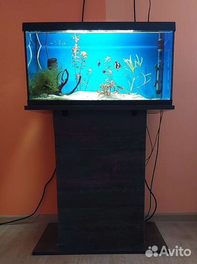 Аквариум 60л под ключ