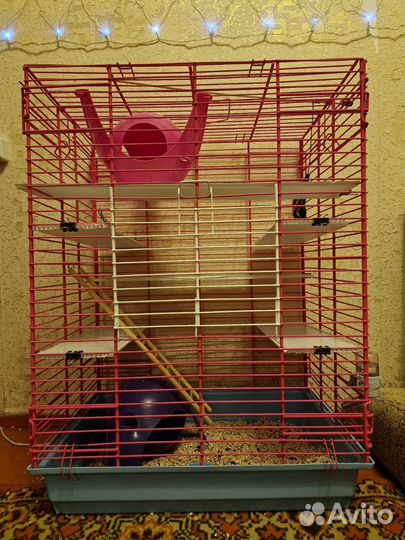 Клетка для грызунов бу