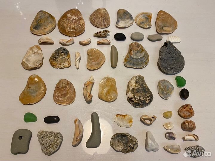 Морские ракушки камушки стеклышки