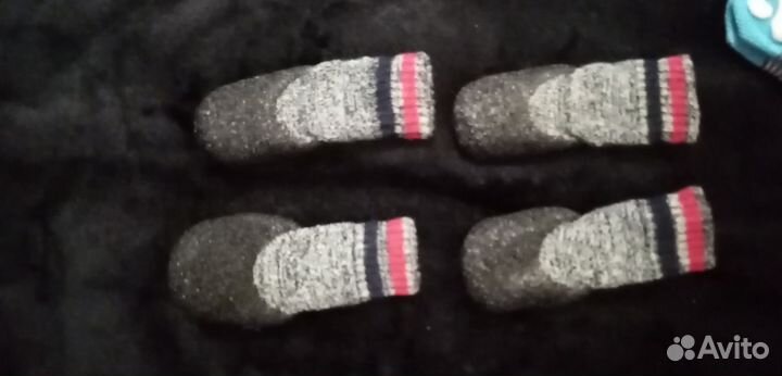 Носочки для маленькой собачки