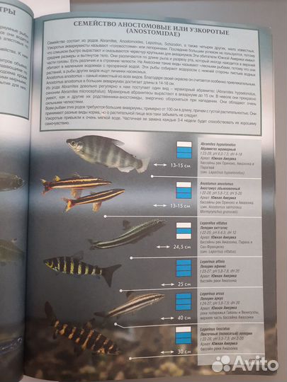 Атлас-справочник: Все об аквариумных рыбках